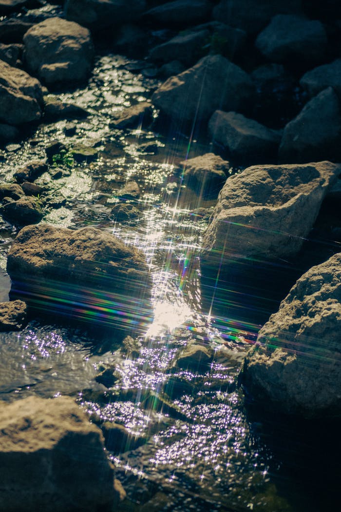 Home Capture of sunlit stream flowing over rocks in Українка, Ukraine.